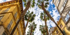 malaga-spain-street-news
