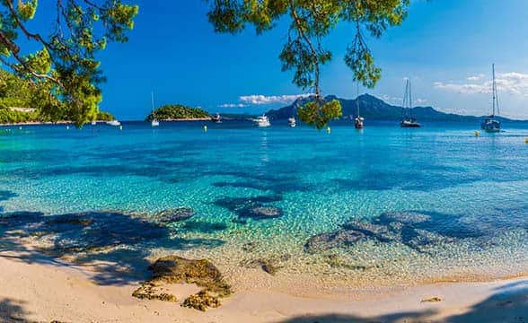 palma-de-mallorca-spain-news