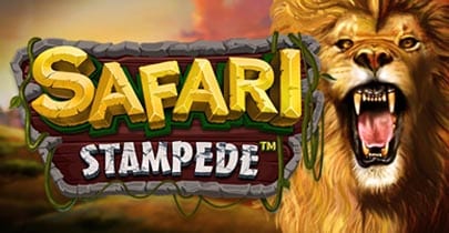 safari-stampede-featured